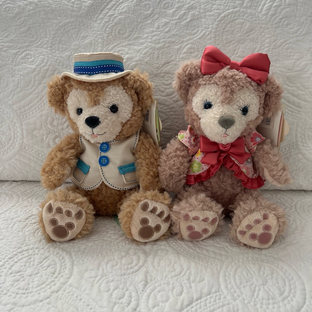 Adorable Teddy Bear Pair with Outfits